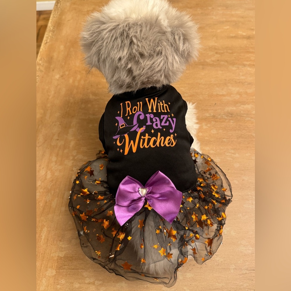Simply Wag Halloween doggie dress